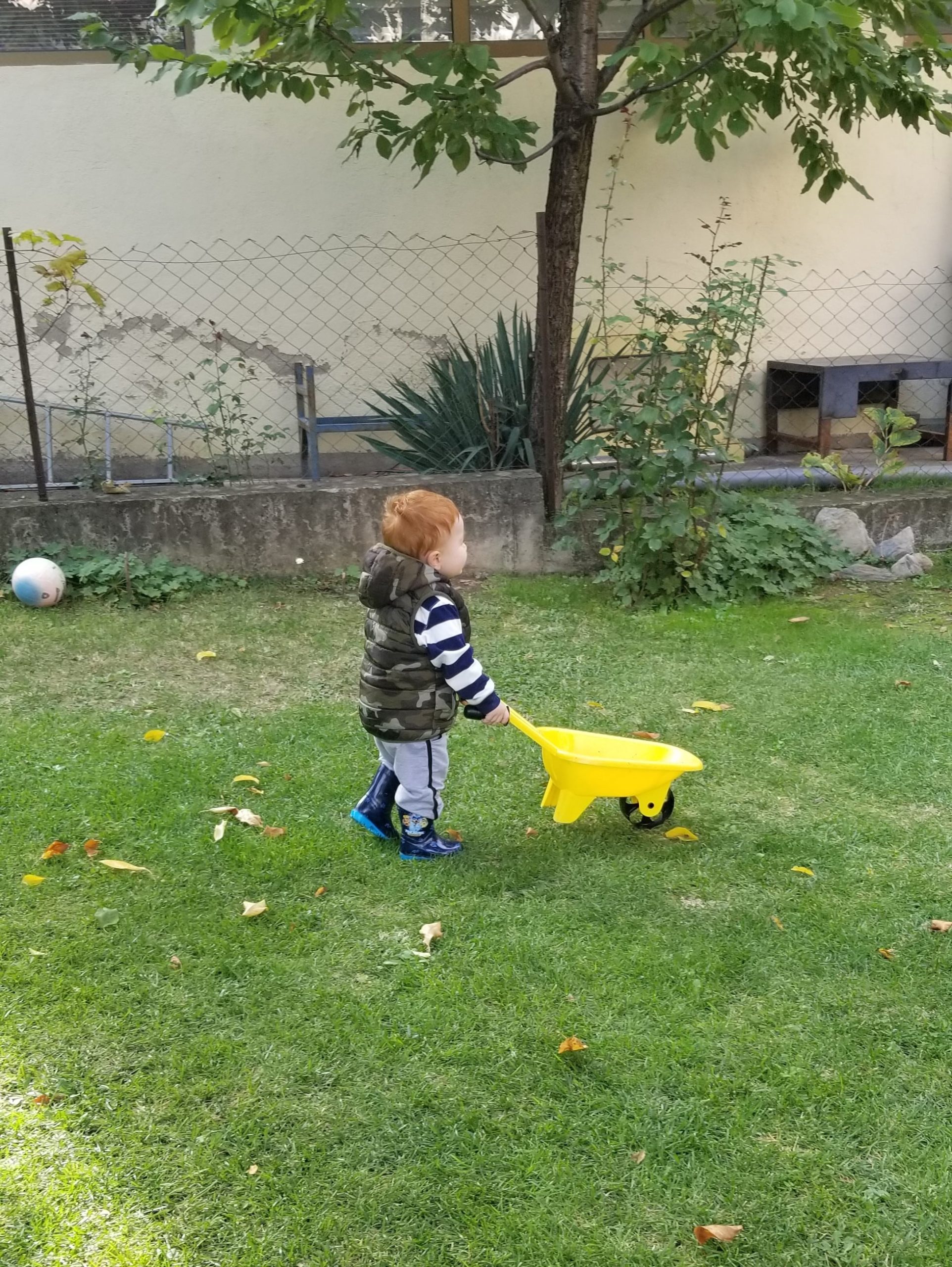A toddler helping out in the yard