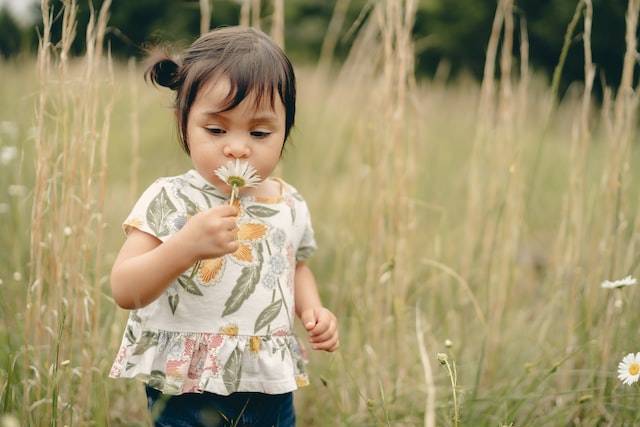 A little girl smelling a flower