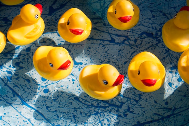 Rubber ducks in a water